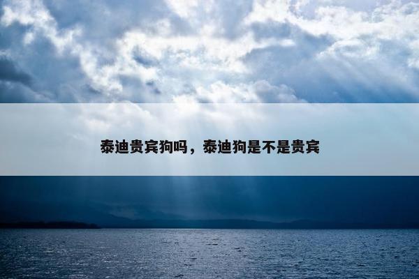 泰迪贵宾狗吗，泰迪狗是不是贵宾