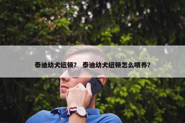 泰迪幼犬纽顿？ 泰迪幼犬纽顿怎么喂养？