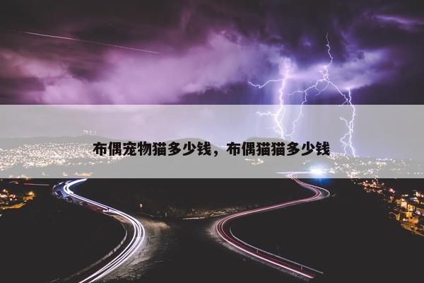 布偶宠物猫多少钱，布偶猫猫多少钱