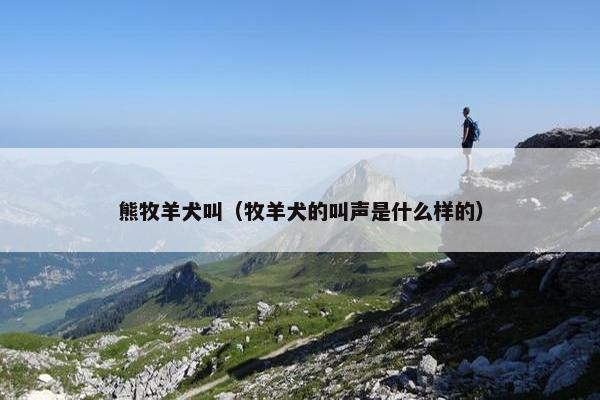 熊牧羊犬叫（牧羊犬的叫声是什么样的）