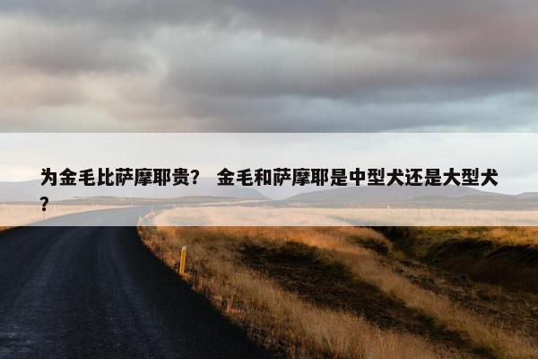 为金毛比萨摩耶贵？ 金毛和萨摩耶是中型犬还是大型犬？