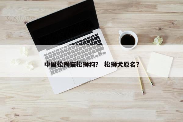 中国松狮猫松狮狗？ 松狮犬原名？