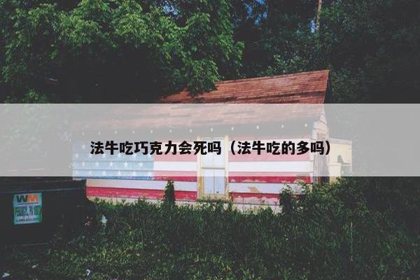 法牛吃巧克力会死吗（法牛吃的多吗）