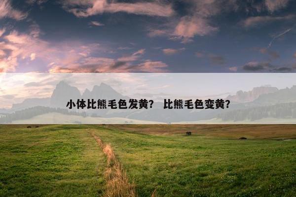 小体比熊毛色发黄？ 比熊毛色变黄？