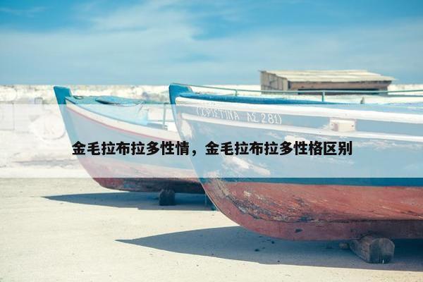 金毛拉布拉多性情，金毛拉布拉多性格区别