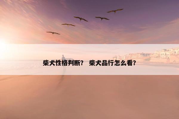 柴犬性格判断？ 柴犬品行怎么看？