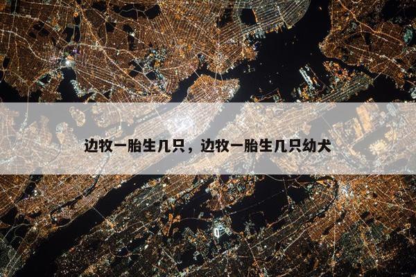 边牧一胎生几只，边牧一胎生几只幼犬