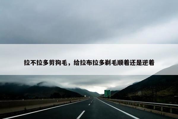 拉不拉多剪狗毛，给拉布拉多剃毛顺着还是逆着