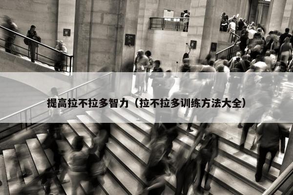 提高拉不拉多智力（拉不拉多训练方法大全）
