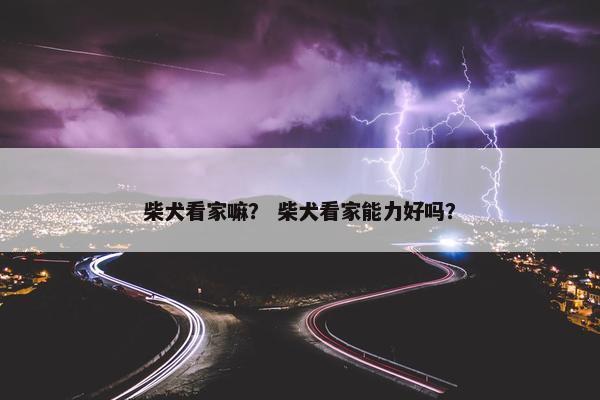 柴犬看家嘛？ 柴犬看家能力好吗？