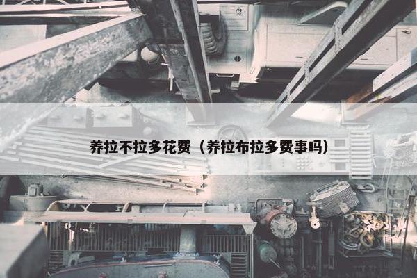 养拉不拉多花费（养拉布拉多费事吗）