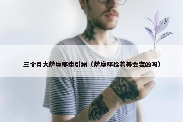 三个月大萨摩耶牵引绳（萨摩耶拴着养会变凶吗）