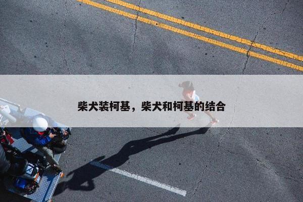 柴犬装柯基，柴犬和柯基的结合