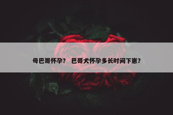 母巴哥怀孕？ 巴哥犬怀孕多长时间下崽？
