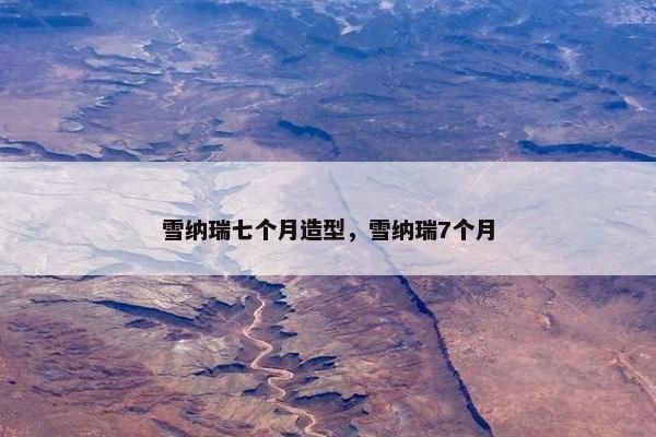 雪纳瑞七个月造型，雪纳瑞7个月
