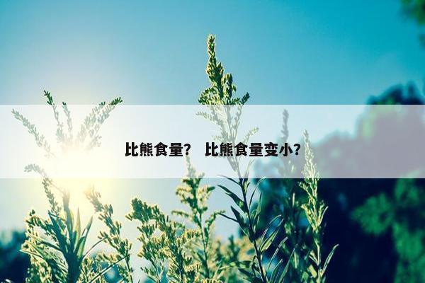 比熊食量？ 比熊食量变小？