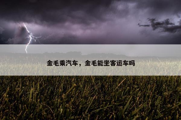 金毛乘汽车，金毛能坐客运车吗