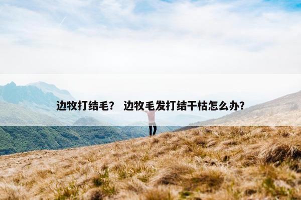边牧打结毛？ 边牧毛发打结干枯怎么办？