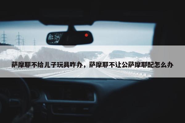 萨摩耶不给儿子玩具咋办，萨摩耶不让公萨摩耶配怎么办