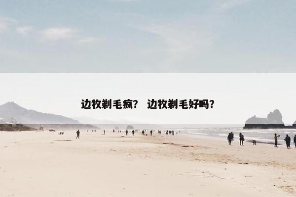 边牧剃毛疯？ 边牧剃毛好吗？