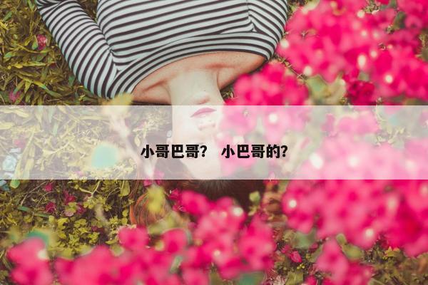 小哥巴哥？ 小巴哥的？