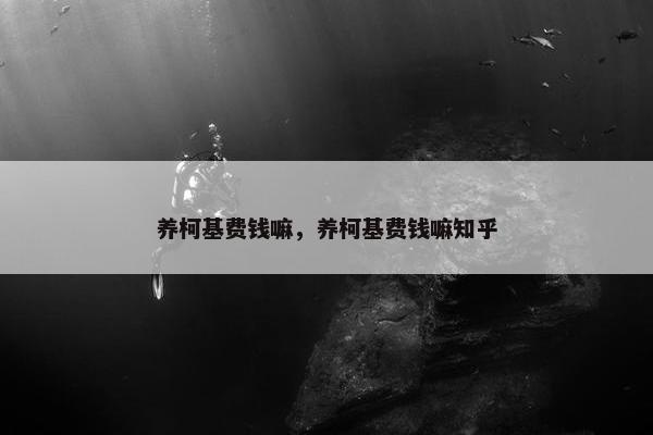 养柯基费钱嘛，养柯基费钱嘛知乎