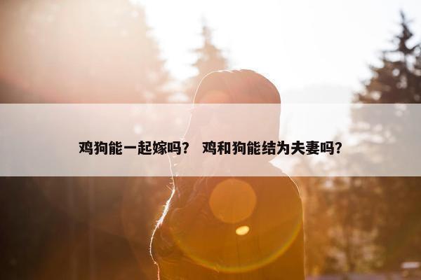 鸡狗能一起嫁吗？ 鸡和狗能结为夫妻吗？