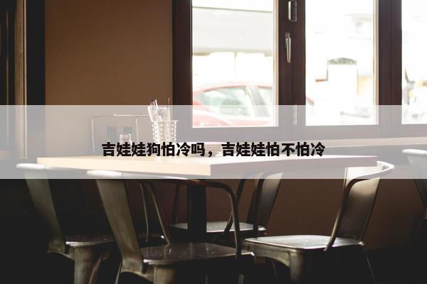 吉娃娃狗怕冷吗，吉娃娃怕不怕冷