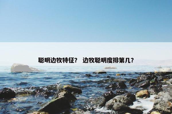 聪明边牧特征？ 边牧聪明度排第几？