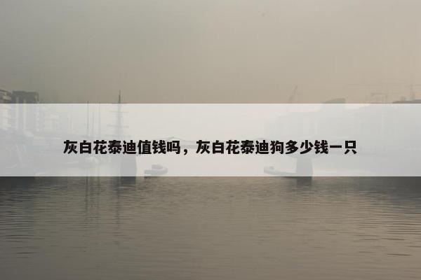 灰白花泰迪值钱吗，灰白花泰迪狗多少钱一只