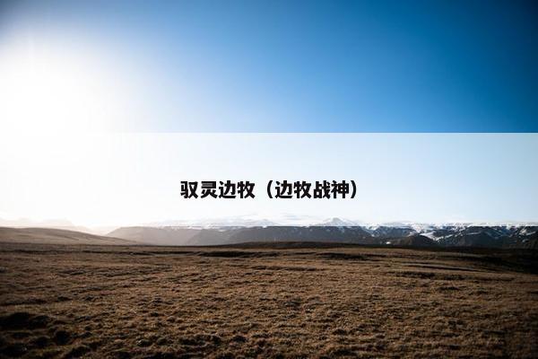 驭灵边牧（边牧战神）