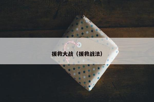 援救大战（援救战法）