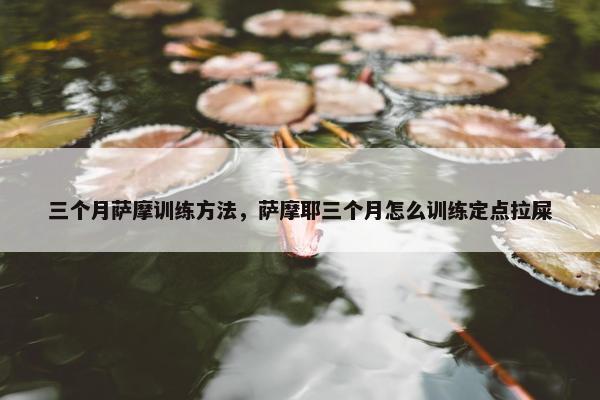 三个月萨摩训练方法，萨摩耶三个月怎么训练定点拉屎