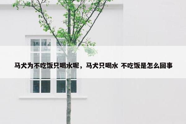 马犬为不吃饭只喝水呢，马犬只喝水 不吃饭是怎么回事