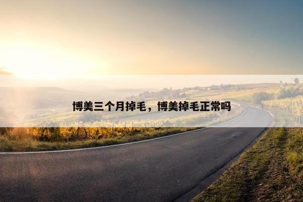 博美三个月掉毛，博美掉毛正常吗