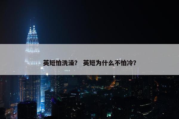 英短怕洗澡？ 英短为什么不怕冷？