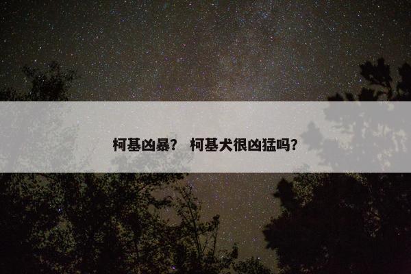 柯基凶暴？ 柯基犬很凶猛吗？