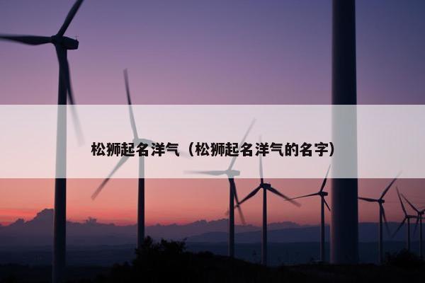 松狮起名洋气（松狮起名洋气的名字）