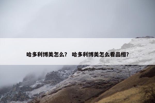 哈多利博美怎么？ 哈多利博美怎么看品相？