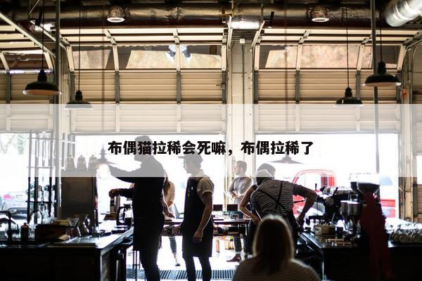 布偶猫拉稀会死嘛，布偶拉稀了