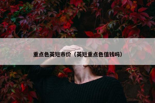 重点色英短市价（英短重点色值钱吗）