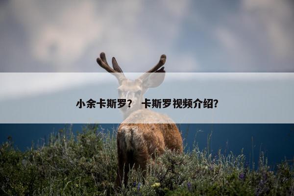 小余卡斯罗？ 卡斯罗视频介绍？