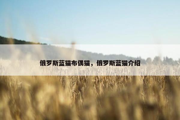 俄罗斯蓝猫布偶猫，俄罗斯蓝猫介绍