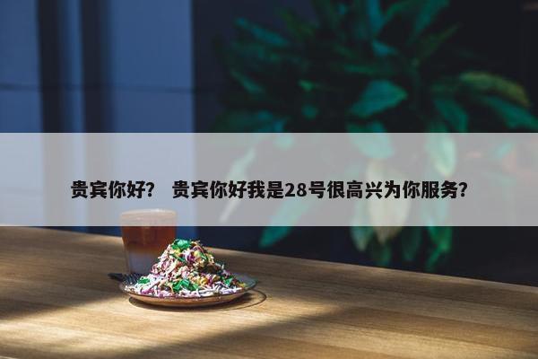 贵宾你好？ 贵宾你好我是28号很高兴为你服务？