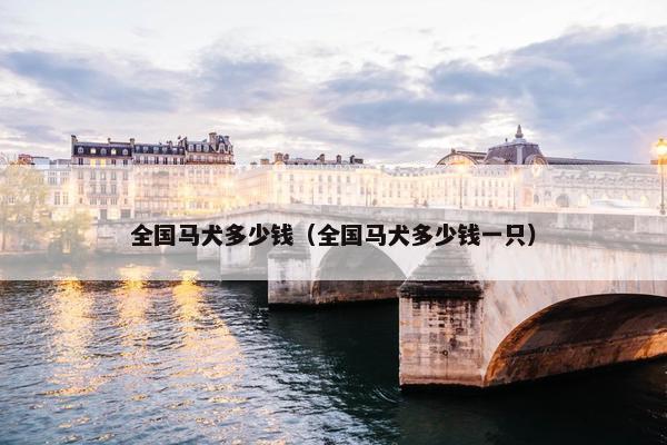 全国马犬多少钱（全国马犬多少钱一只）