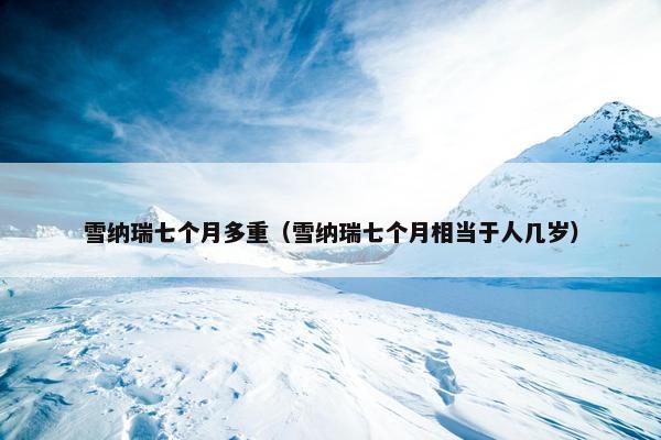 雪纳瑞七个月多重（雪纳瑞七个月相当于人几岁）