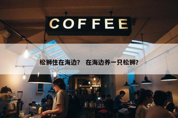 松狮住在海边？ 在海边养一只松狮？