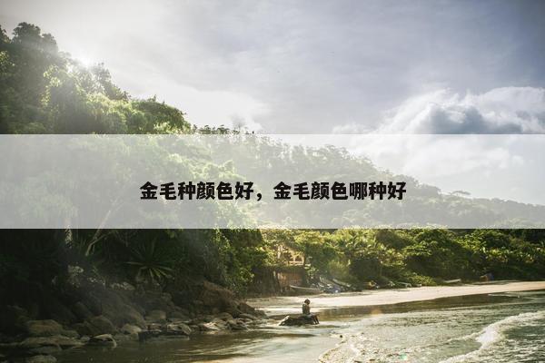 金毛种颜色好，金毛颜色哪种好