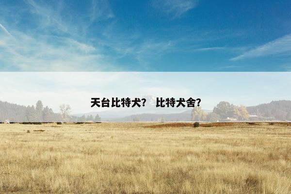 天台比特犬？ 比特犬舍？