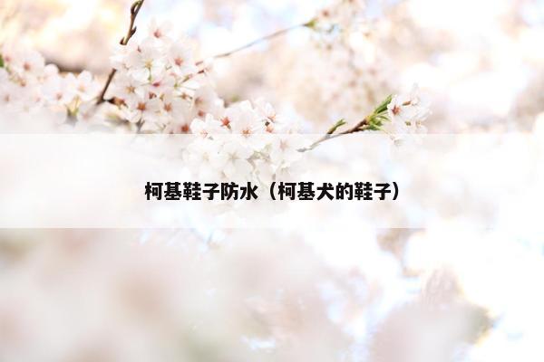 柯基鞋子防水（柯基犬的鞋子）